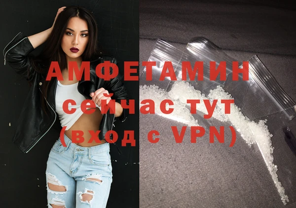 гашик Корсаков