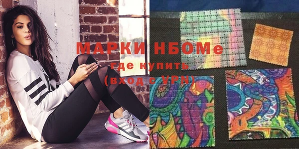 гашик Корсаков