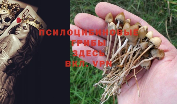 дживик Костерёво