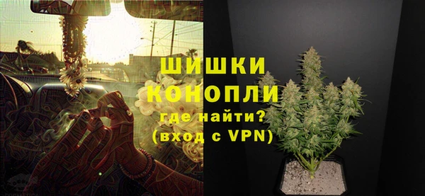 дживик Костерёво