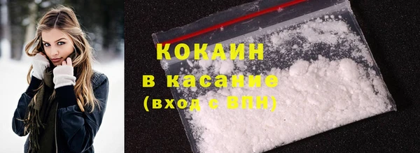 гашик Корсаков