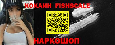 jwh Бийск