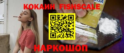 jwh Бийск