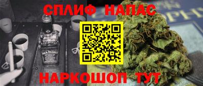jwh Бийск