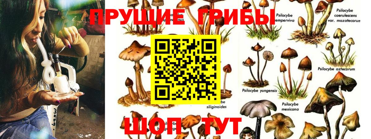 Галлюциногенные грибы GOLDEN TEACHER  Галлюциногенные грибы мицелий  Нефтекамск  Вход с VPN 
